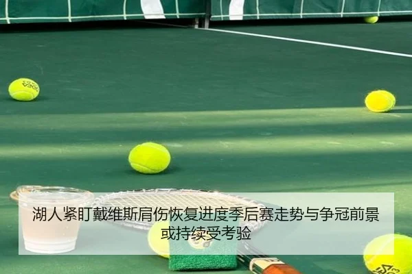 湖人紧盯戴维斯肩伤恢复进度季后赛走势与争冠前景或持续受考验